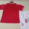 2024 Kids Size Denmark National Team Home Football Shirt 1:1 Thai Quality
