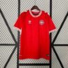 2024 Denmark National Team Home Football Shirt 1:1 Thai Quality