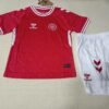 2024 Kids Size Denmark National Team Home Football Shirt 1:1 Thai Quality