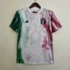 imgi_14_bc22bf38f5134d5f7c5d362602e85812_1080x 2023 Italy Training Suit White Soccer Shirt