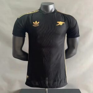 2024/2025 Player Version Arsenal Special Edition Football Shirt 1:1 Thai Quality