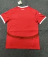 2024 Austria National Team Home Football Shirt 1:1 Thai Quality