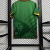 25-26 Cameroon home jersey 1:1 Thai Quality