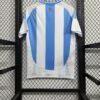 2024-2025 Argentina National Team Home Soccer Jersey