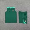 imgi_16_e6f4539f96f1230ebe7d409eb7dc9912_1080x 2024 Portugal Pre-match Training Green Jersey+Shorts 1:1 Thai Quality