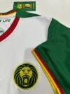25-26 Cameroon away Football Shirt 1:1 Thai Quality