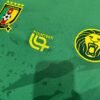 25-26 Cameroon home jersey 1:1 Thai Quality