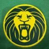 25-26 Cameroon home jersey 1:1 Thai Quality