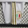 2023/2024 Kids Size Italy 125th Commemorative Edition Soccer Shirt 1:1 Thai Quality